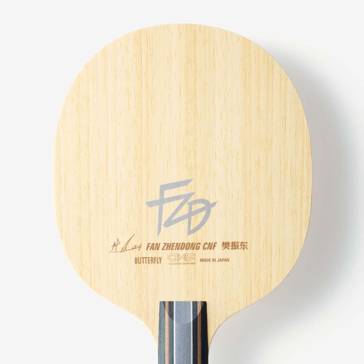 Fan Zhendong CNF CS