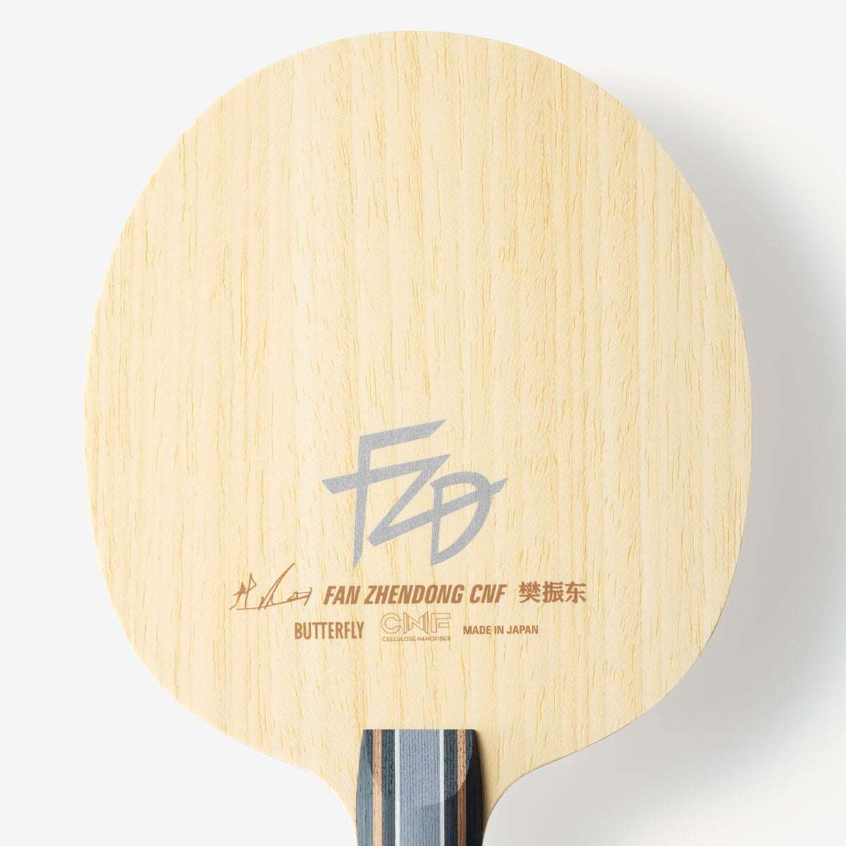 Fan Zhendong CNF